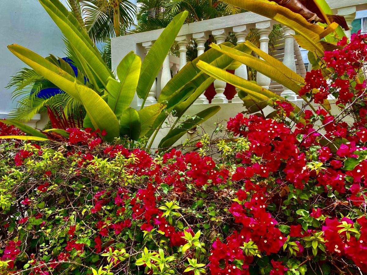 סן חואן At Wind Chimes Boutique Hotel מראה חיצוני תמונה